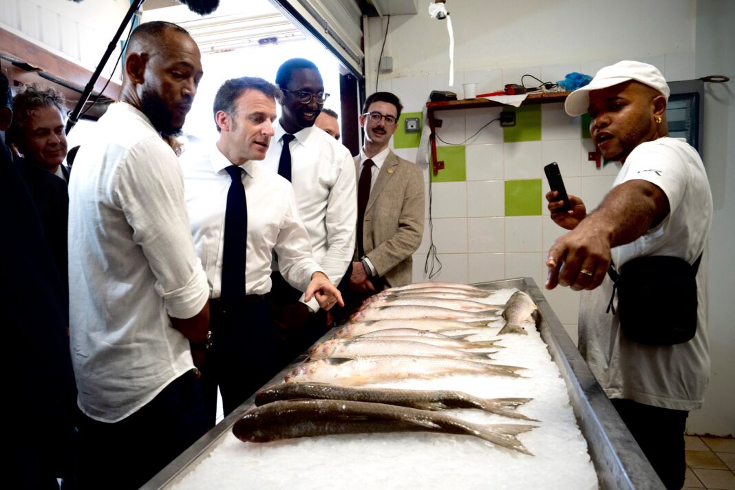 Emmanuel Macron réunit les acteurs agricoles à l'Élysée pour avancer sur les mesures de soutien