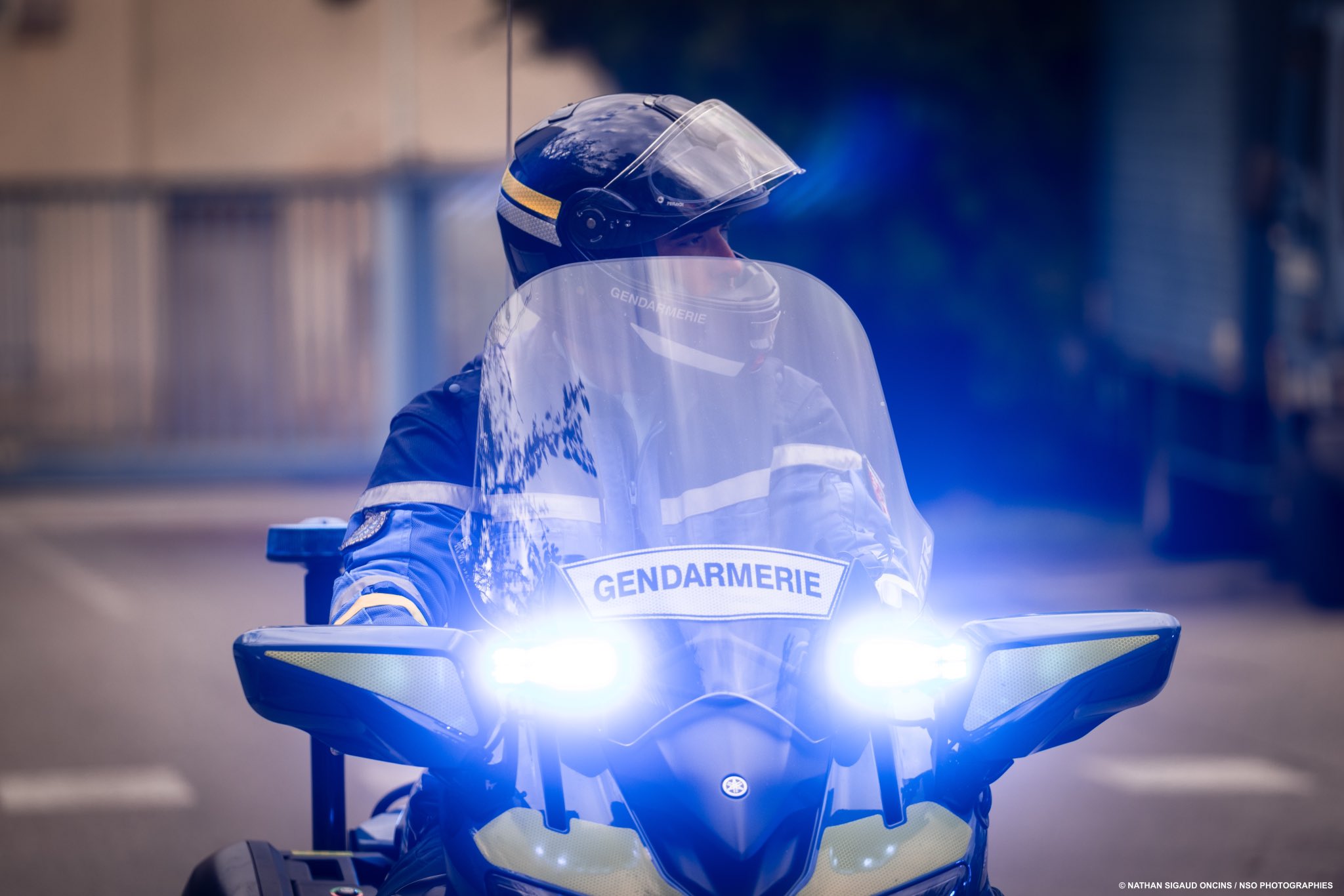 Saisie historique en Drôme : un million de cachets d’ecstasy interceptés