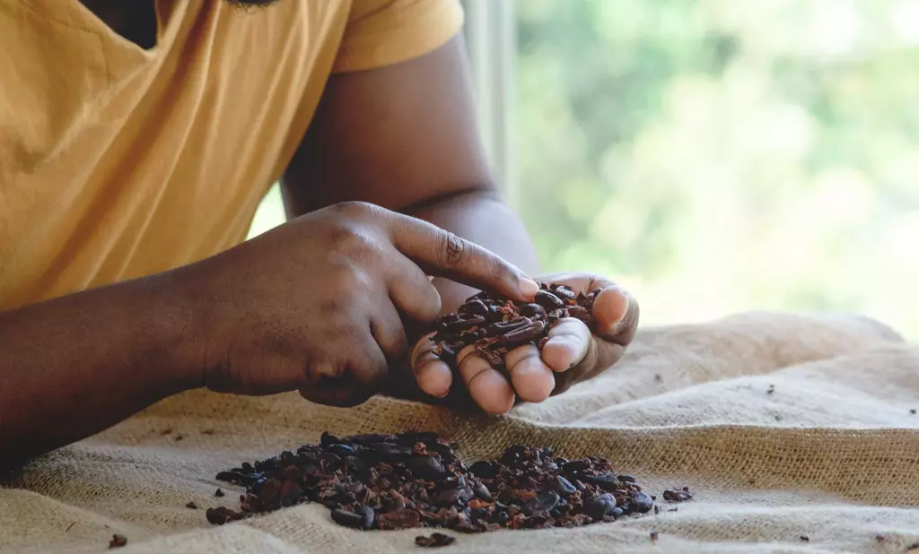 la Cité du Chocolat Valrhona P2