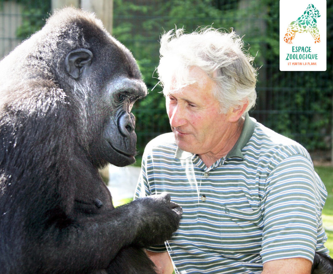 Le zoo de Saint-Martin-la-Plaine s'agrandit