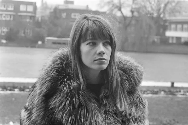 Françoise Hardy, icône de la culture pop, est morte à 80 ans