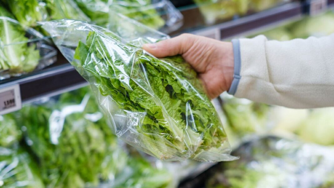 Confrontée à une baisse de 15 % de son chiffre d'affaires, Bonduelle stop les salades en sachet