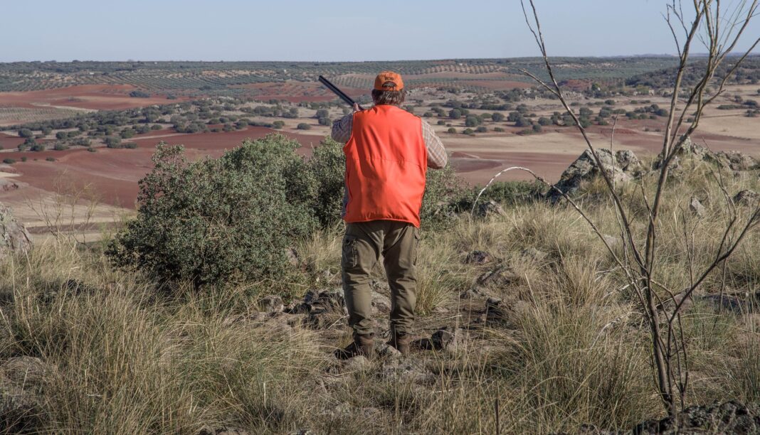 Loire : un chasseur de 42 ans tué lors d'une chasse privée, enquête en cours